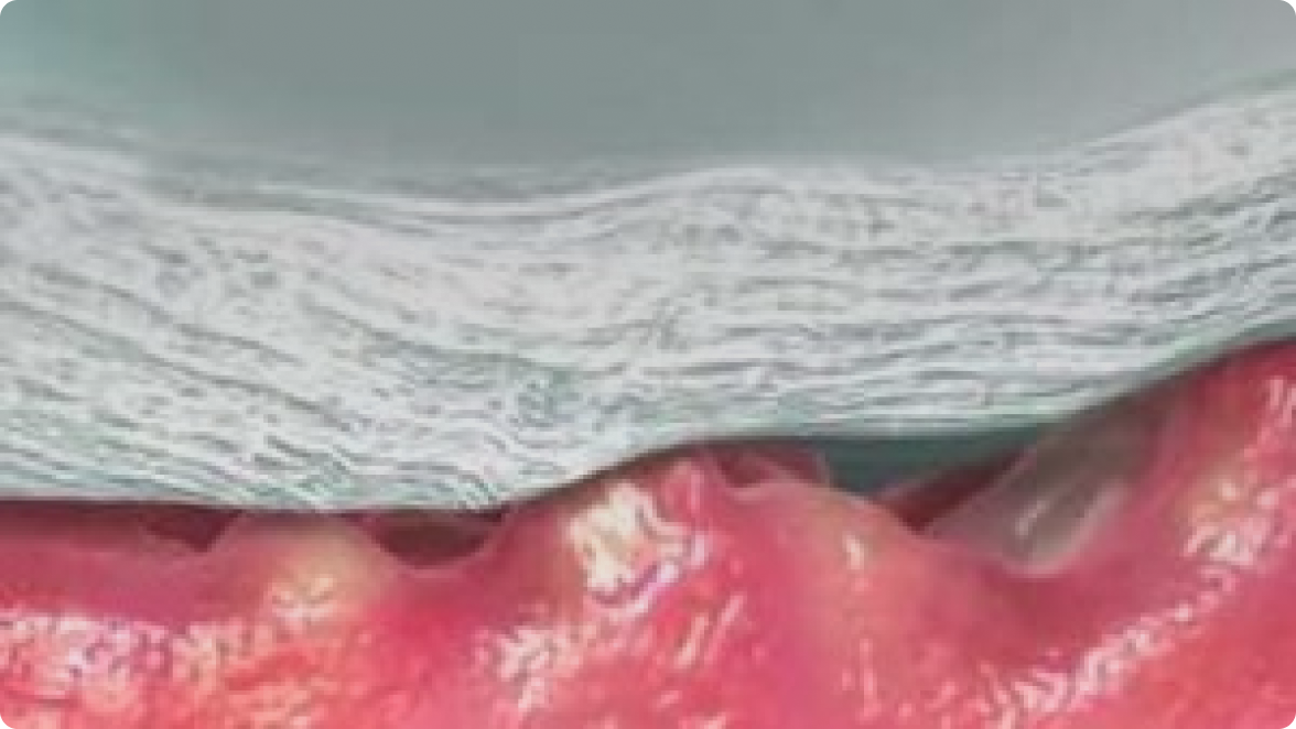 a close-up of a person's lips