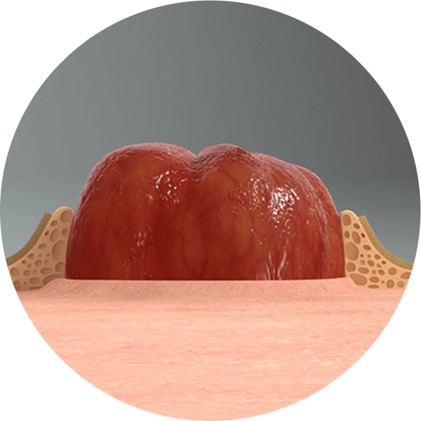 Gros plan d’une boule rouge et blanche