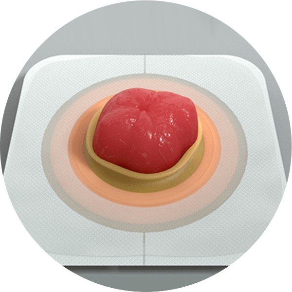 une assiette avec de la nourriture dessus